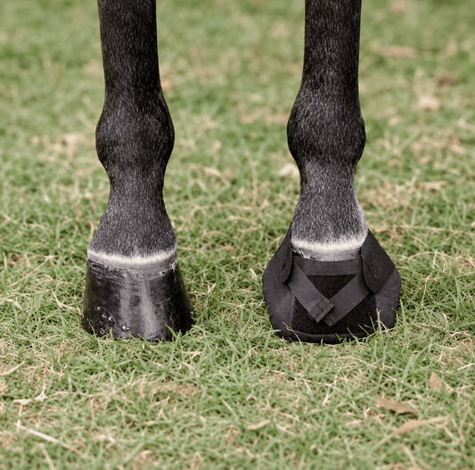 Ice Horse Hoof Wraps Bandage, protection pratique du sabot, aide à réduire la pression sur le sabot