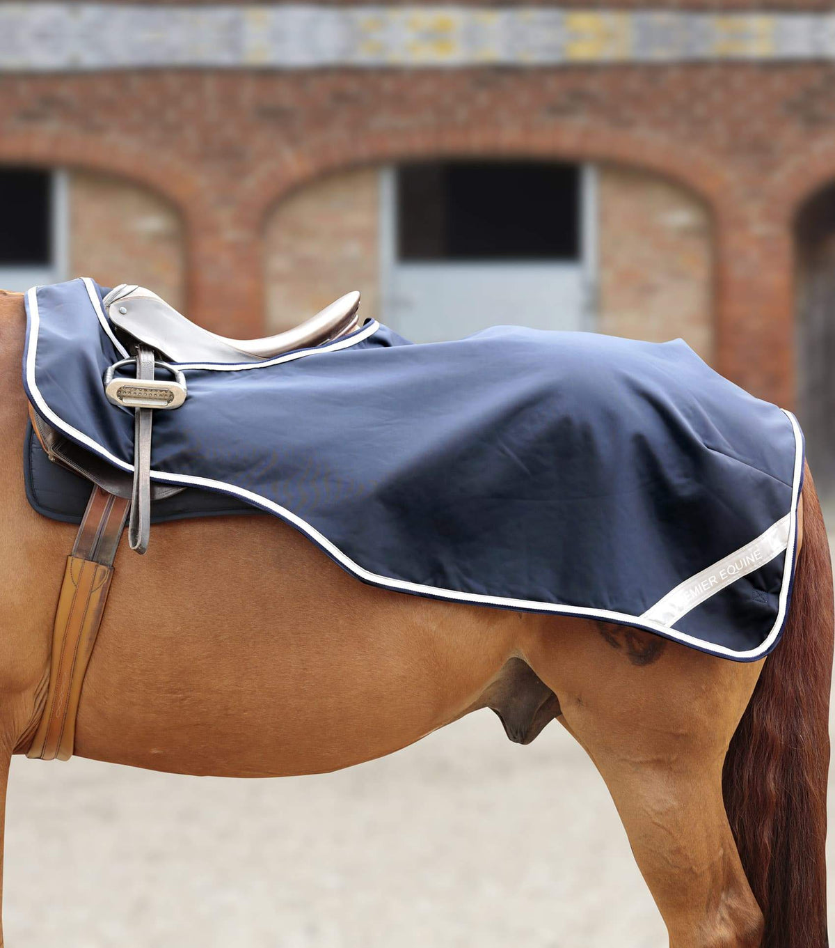 Horse Exercise Sheet