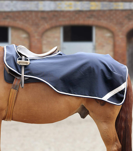 Horse Exercise Sheet