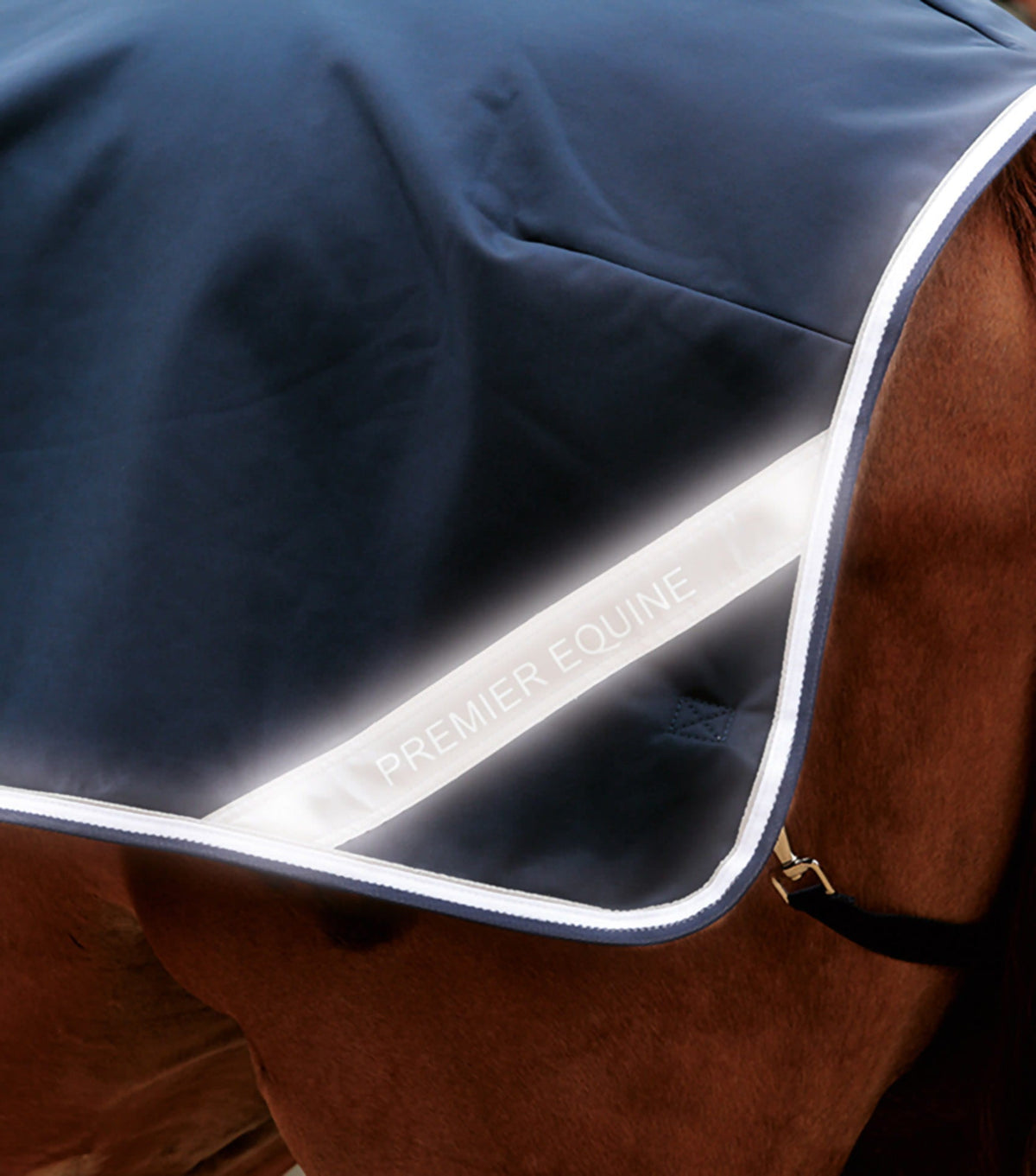 Horse Exercise Sheet