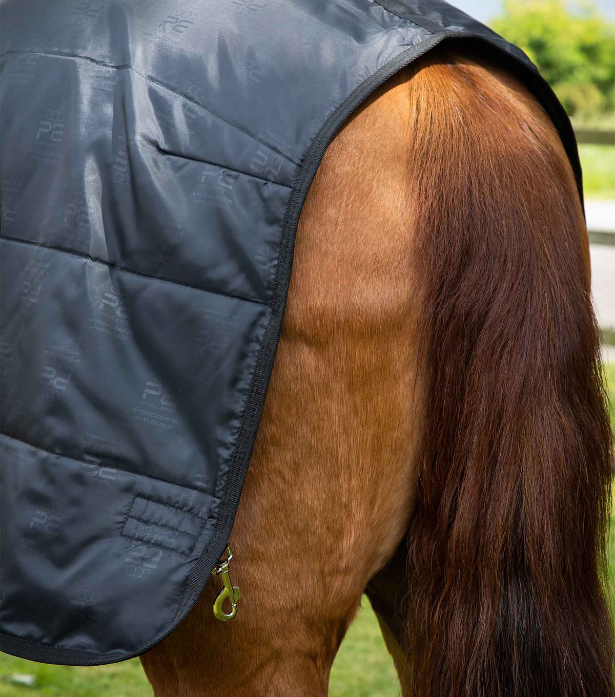200g – sous-couverture pour cheval