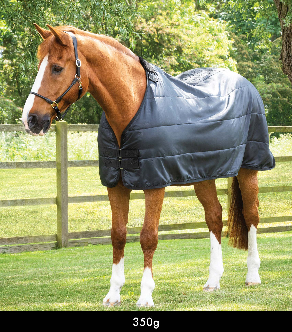 350g – sous-couverture pour cheval