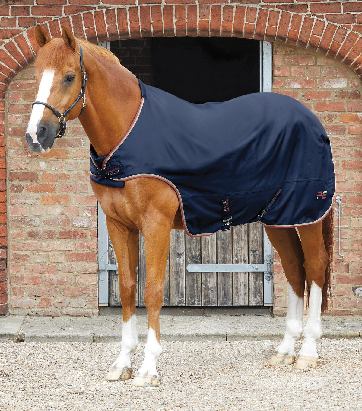 Horse Walker couverture 0g
