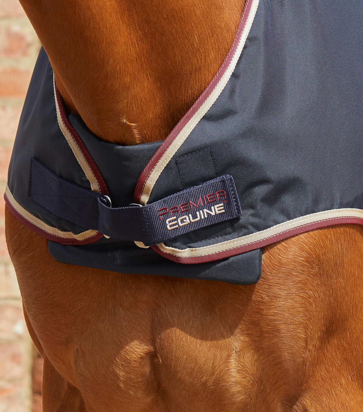 Horse Walker couverture 0g