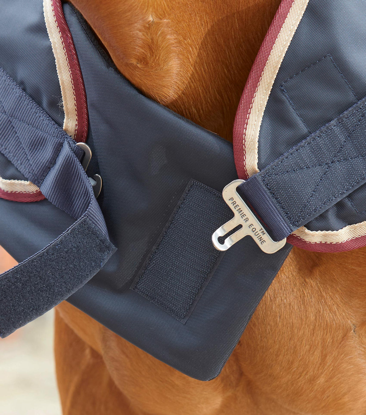 Horse Walker couverture 0g