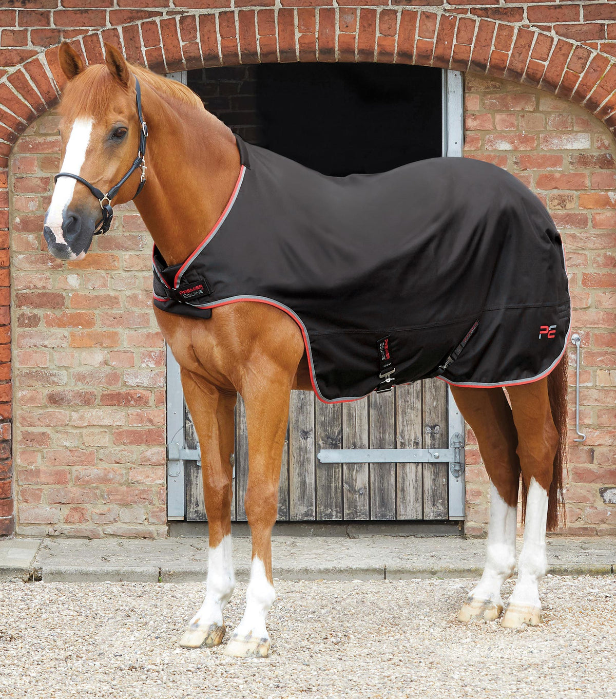 Horse Walker couverture 100g