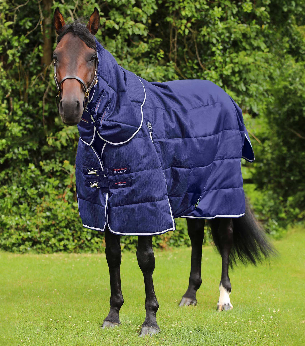 Hydra 200g couverture d’écurie avec Neck Cover