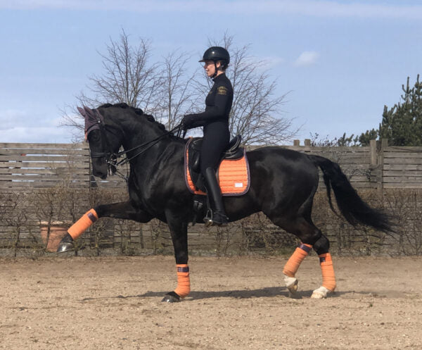 Equito - Bandes Sweet Clémentine