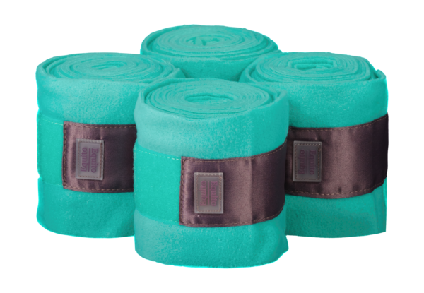 Equito - Bandes Frosty mint