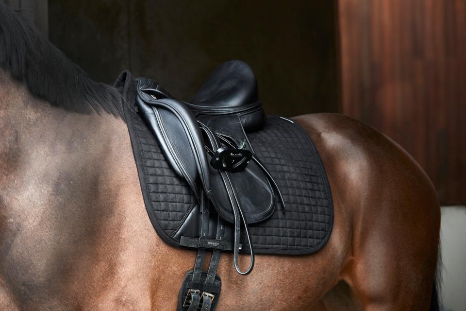 Catago - tapis dressage Fir tech performance  - 5 coloris