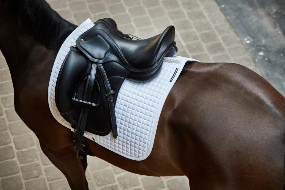Catago - tapis dressage Fir tech performance  - 5 coloris