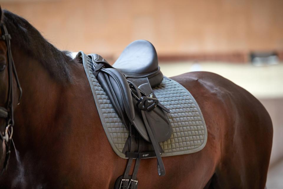 Catago - tapis dressage Fir tech performance  - 5 coloris