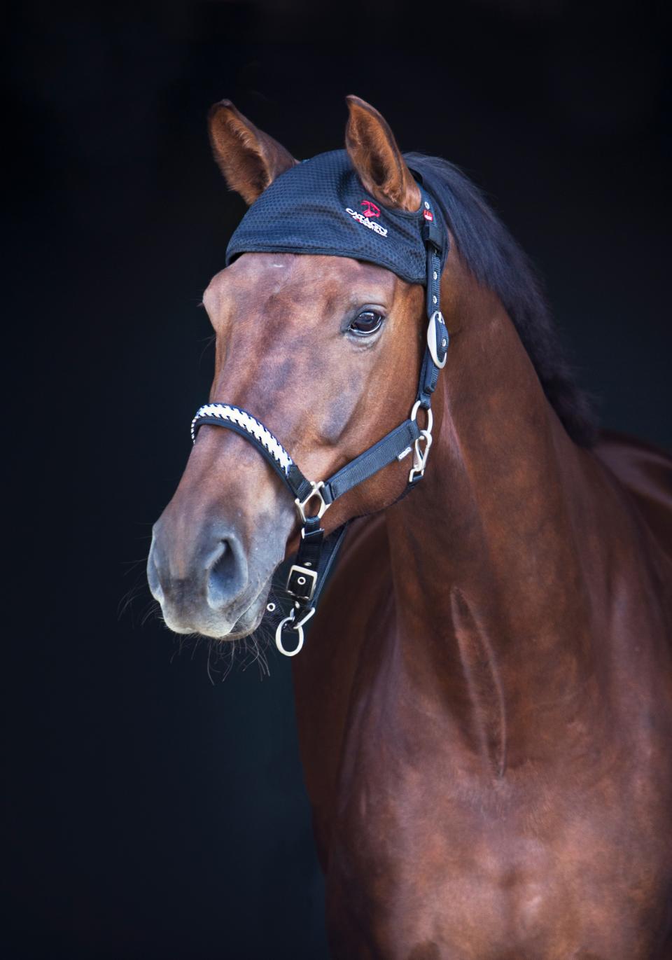 Catago - Bonnet Fir-tech