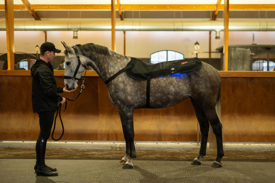 Catago - therapy pad Fir-Tech LED  therapy - 115cmx74cm