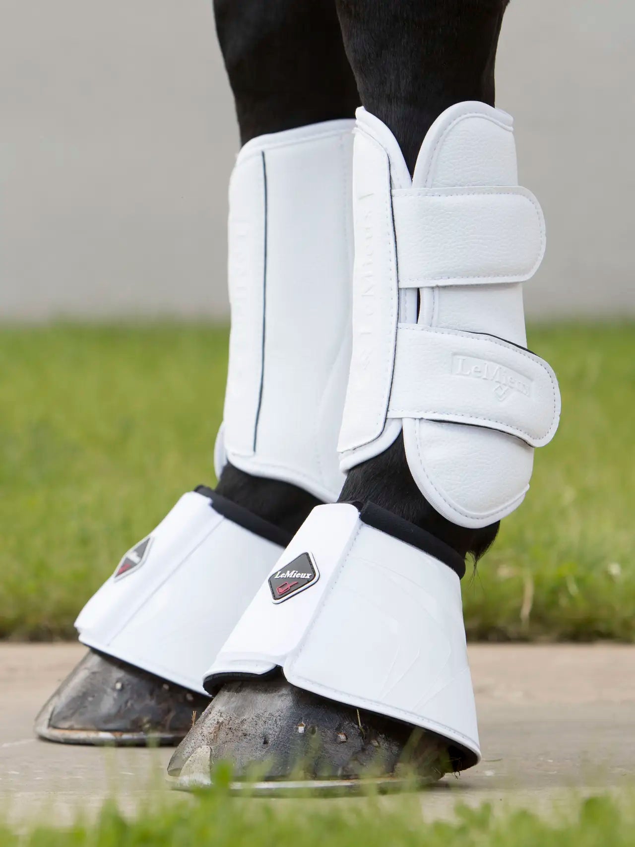 LeMieux - Guetres d’entrainement - 2 coloris
