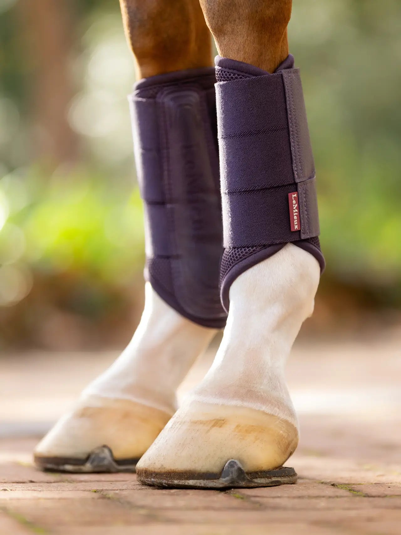 LeMieux - guêtres Arika mesh - 6 coloris