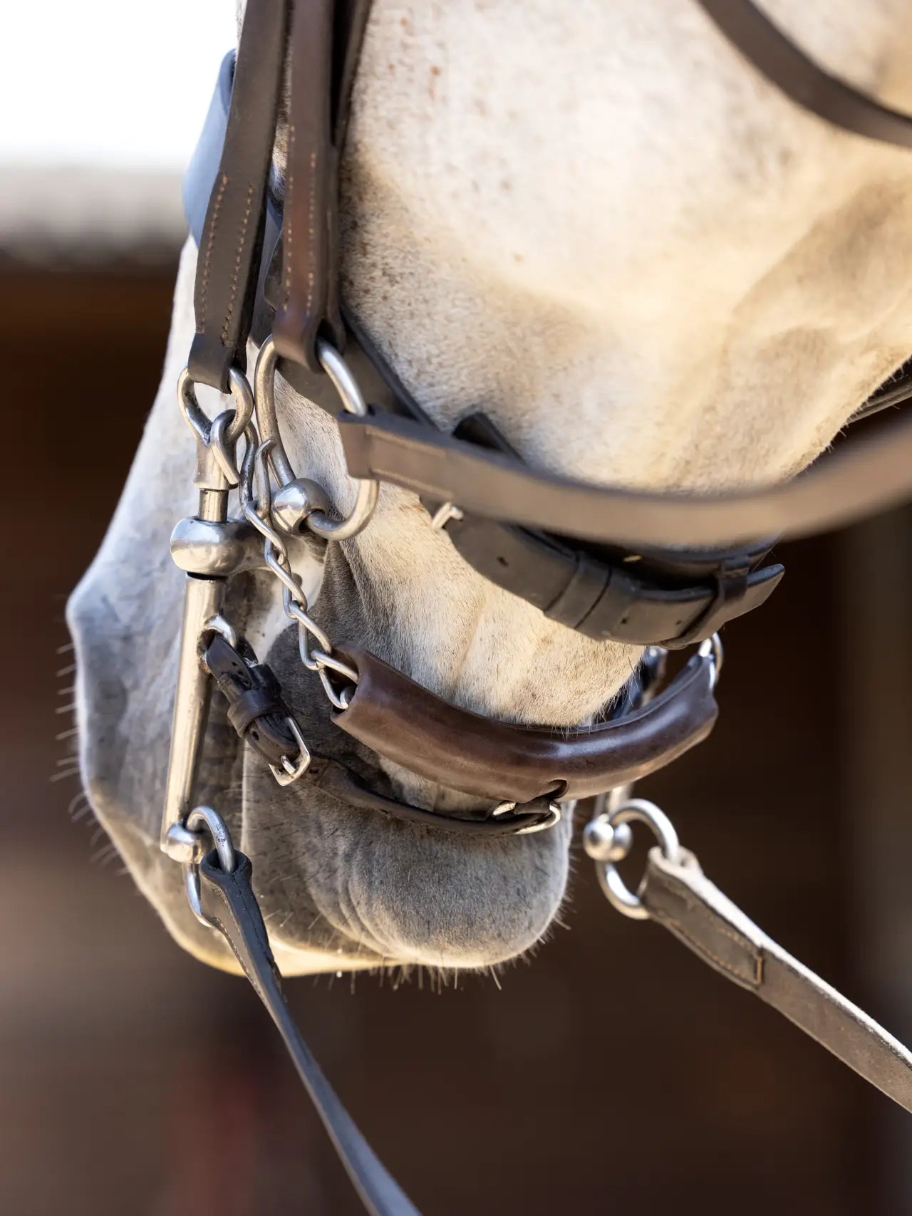 Lemieux - protège gourmette gel - 2 coloris