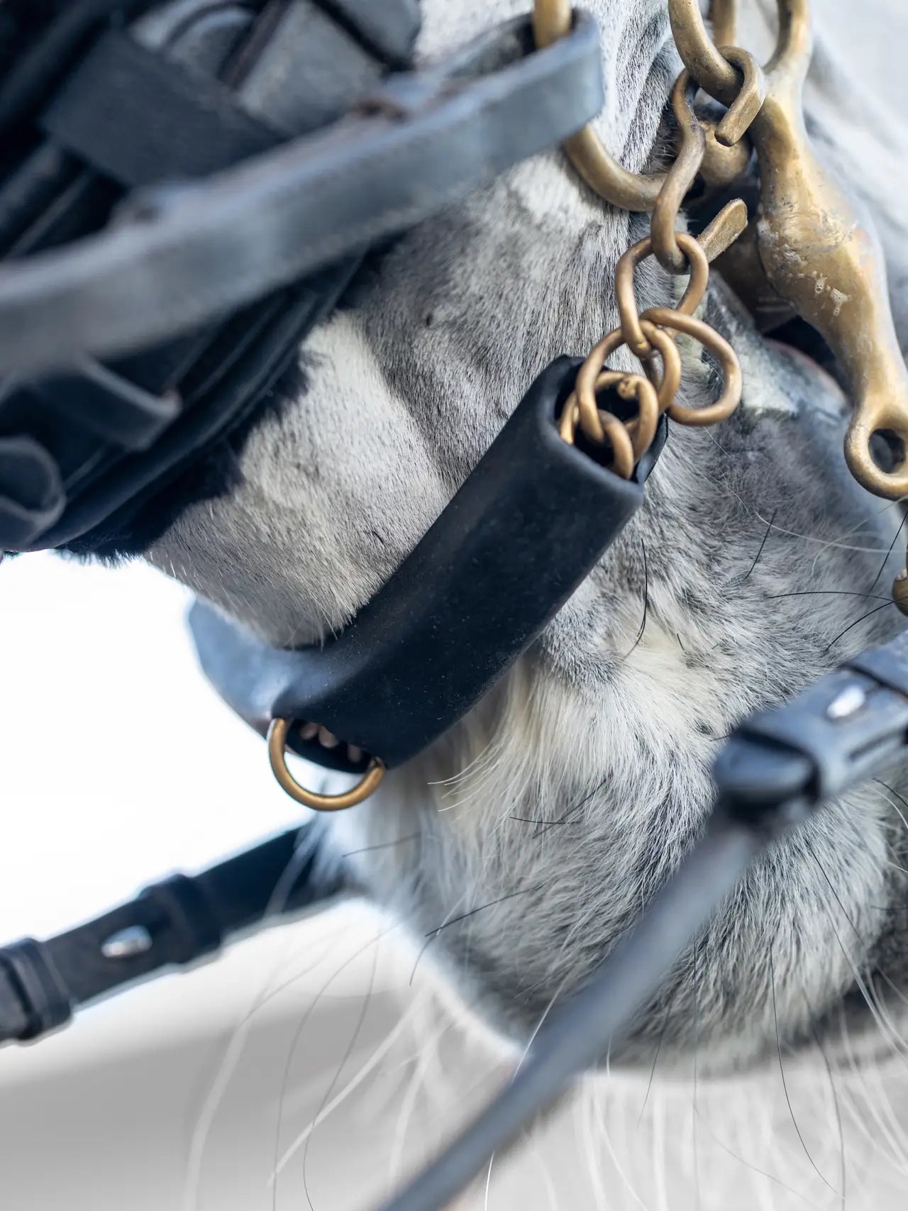 Lemieux - protège gourmette gel - 2 coloris