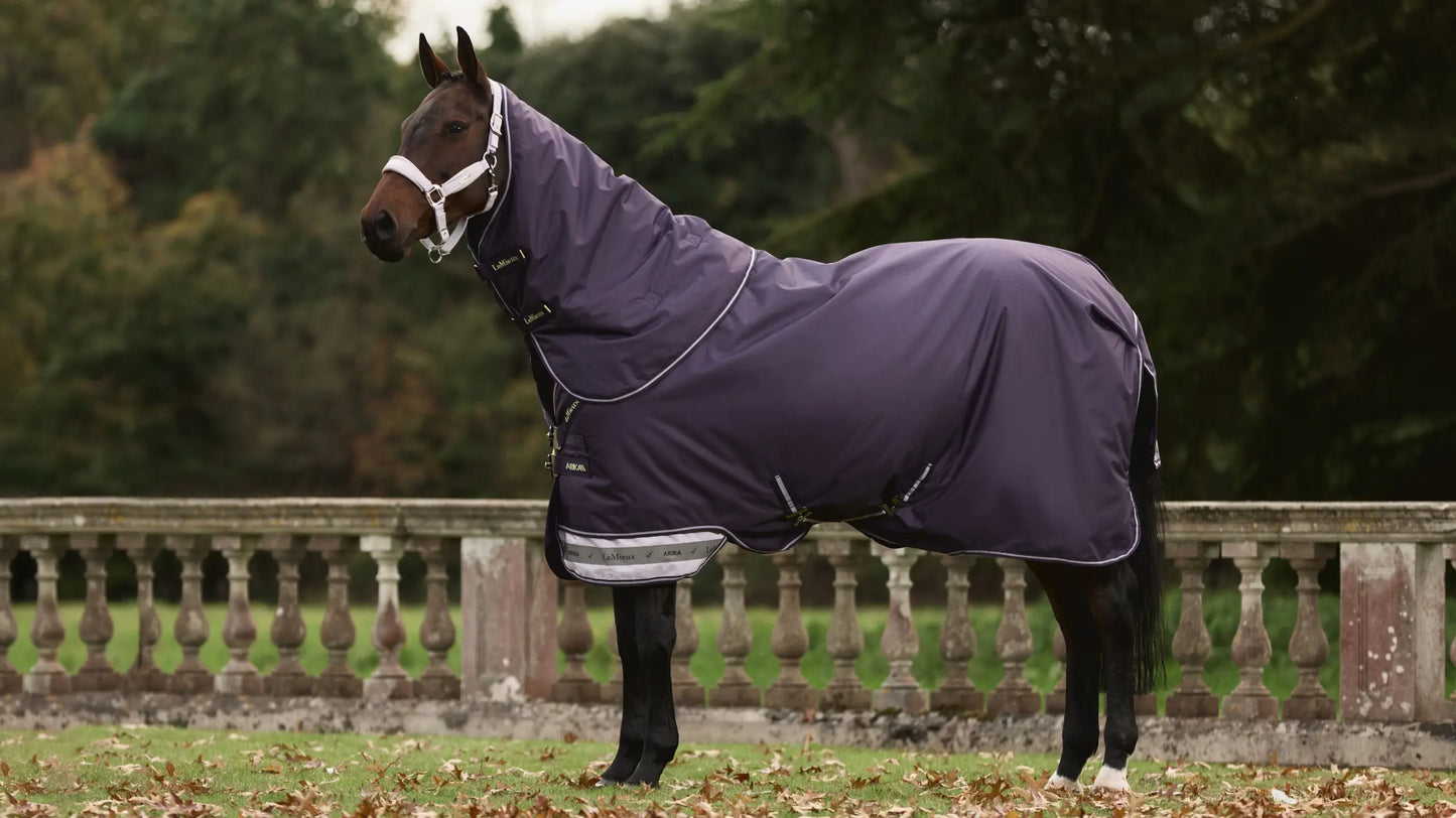 Lemieux - couverture outdoor 100gr Arika - 2 coloris