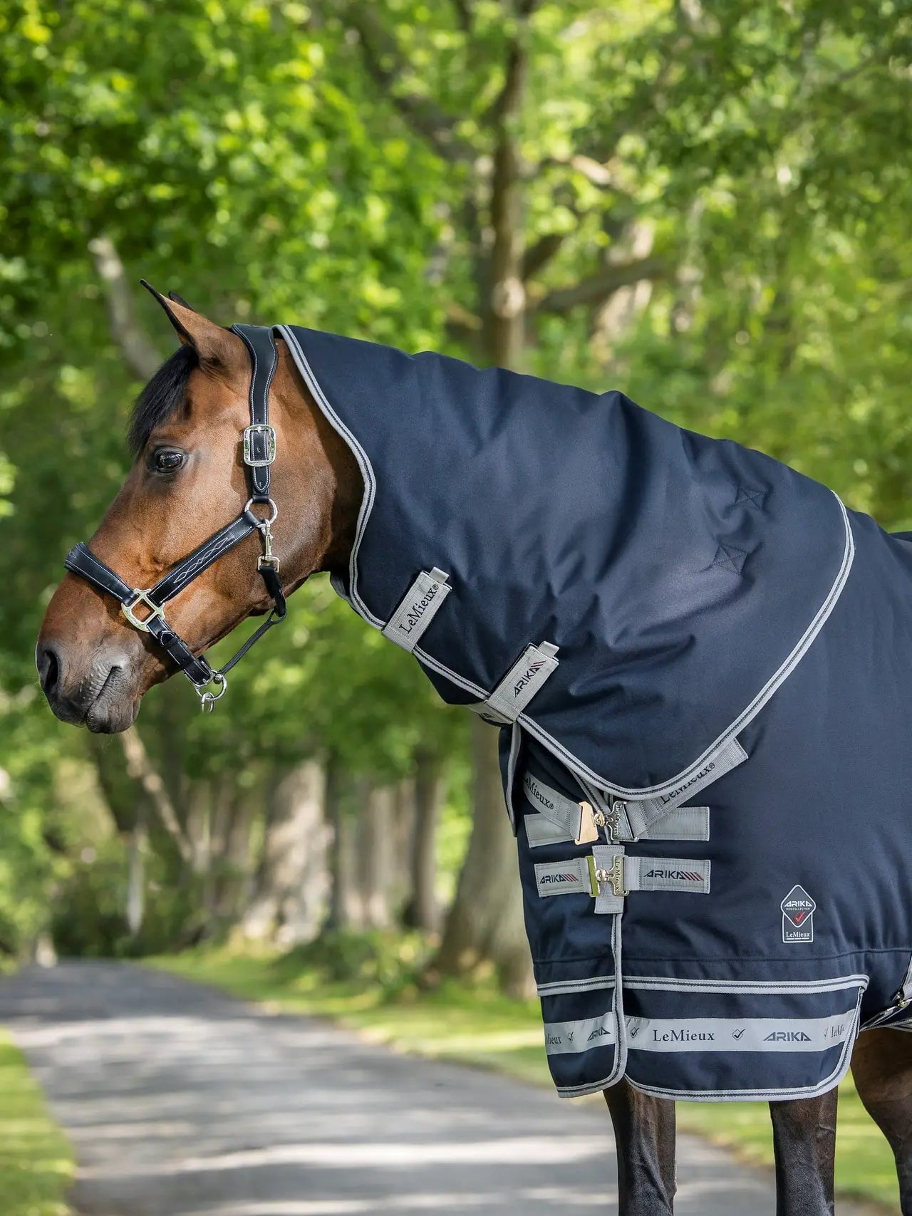 Lemieux - couvre cou outdoor 200gr Arika stormy tek