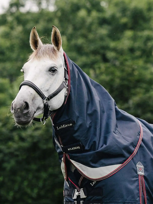 Lemieux - couvre cou outdoor 50gr Kudos