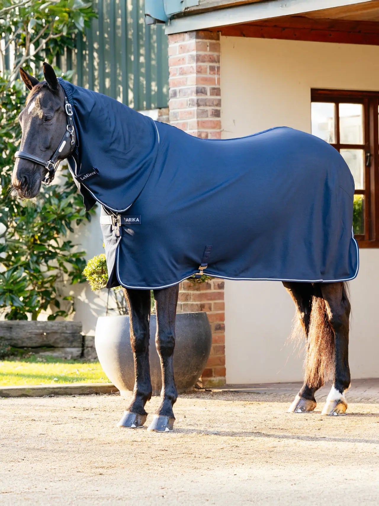 Lemieux - chemise Dry Ease Arika - 2 coloris