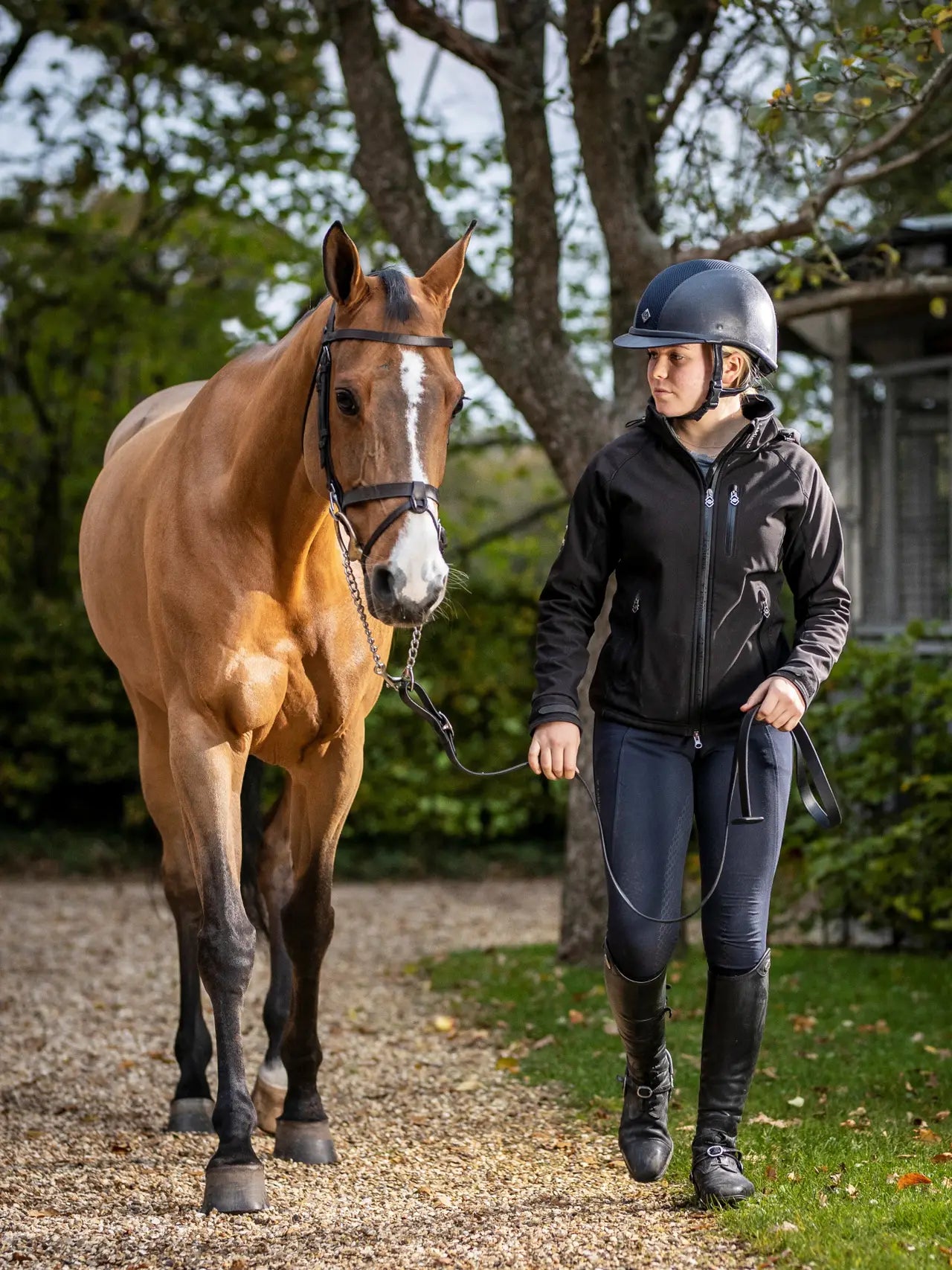 Lemieux - Longe de présentation - 2 coloris