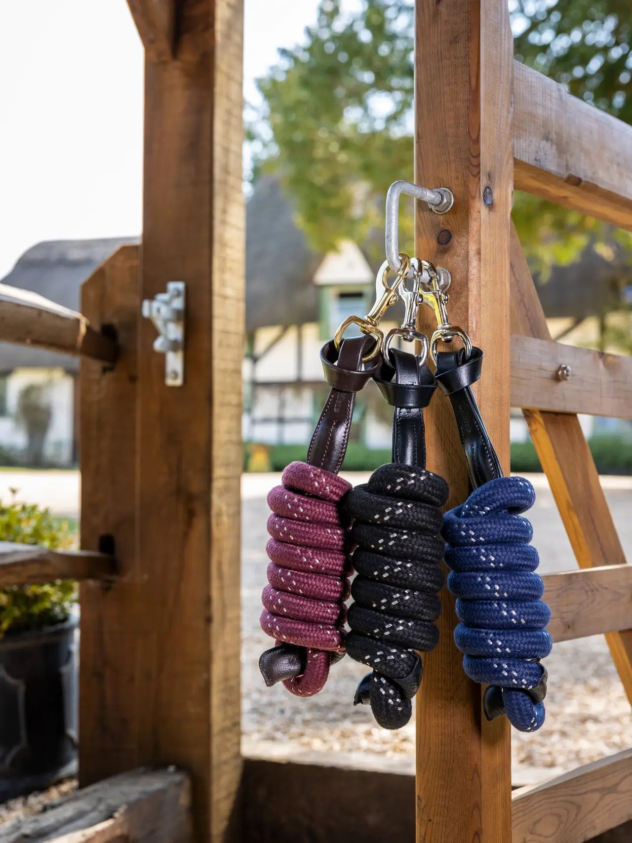 Lemieux - Longe Lasso - 3 coloris