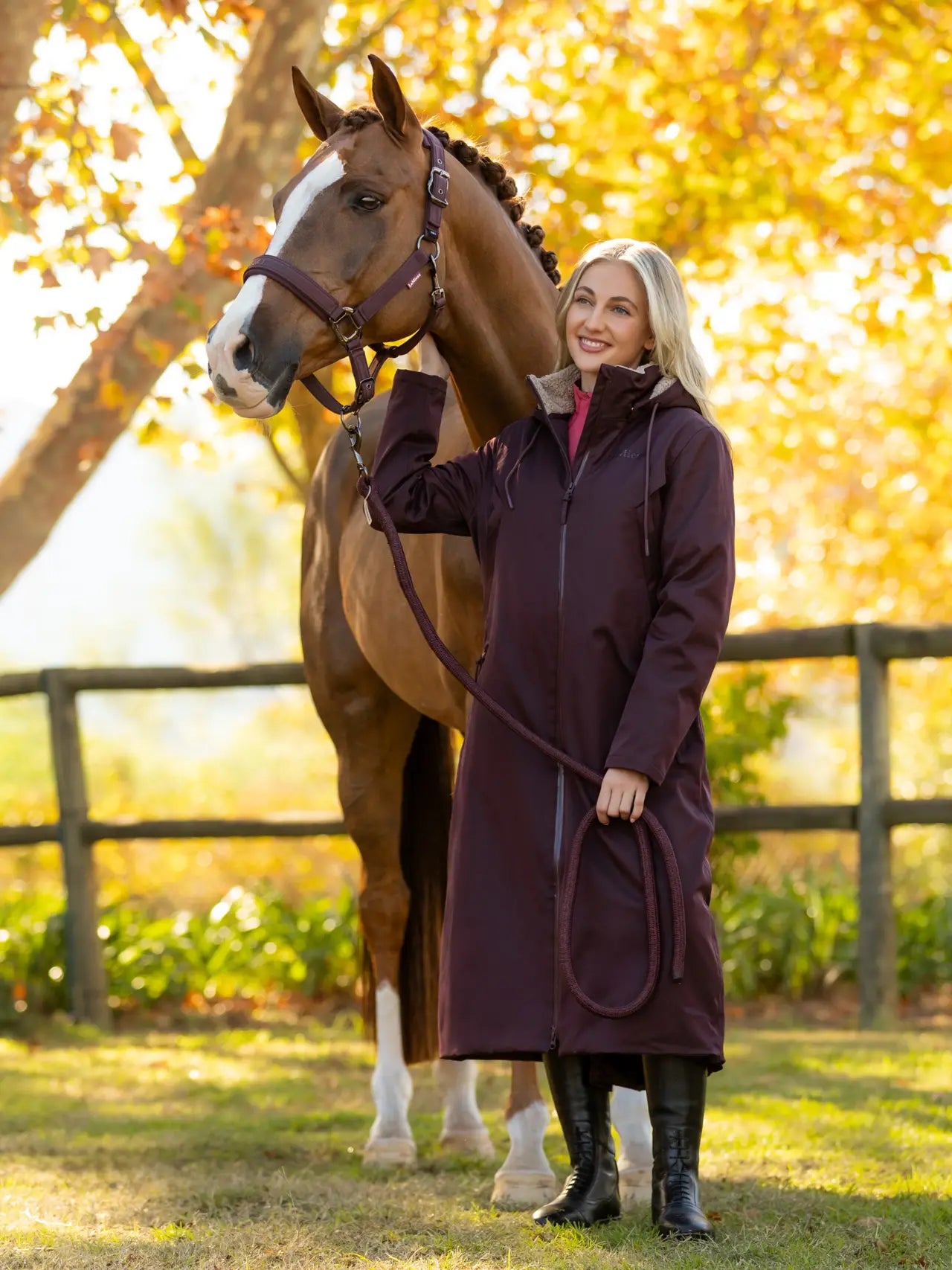 Lemieux - manteau All éléments - Damson