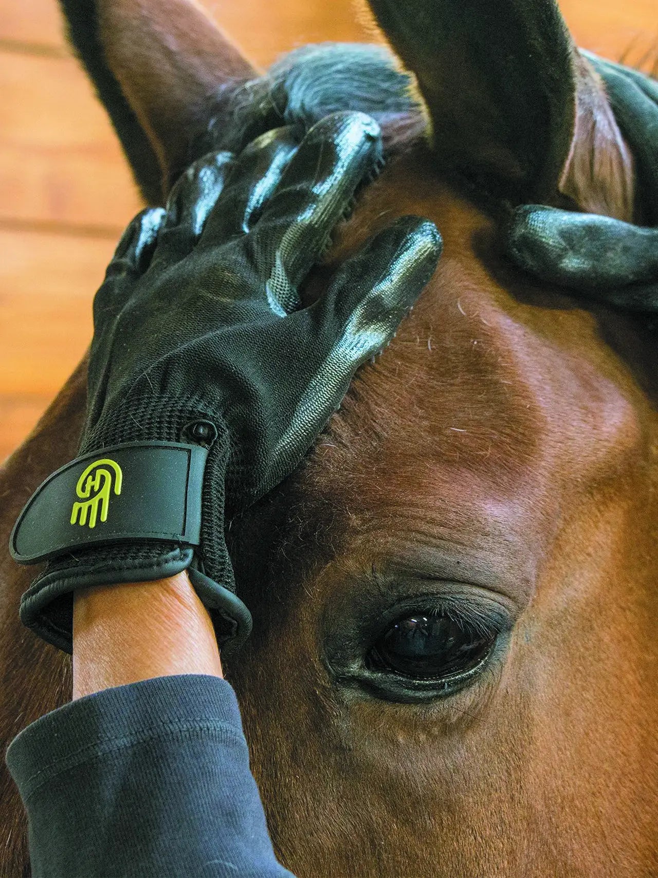 Lemieux - Gants hands on grooming