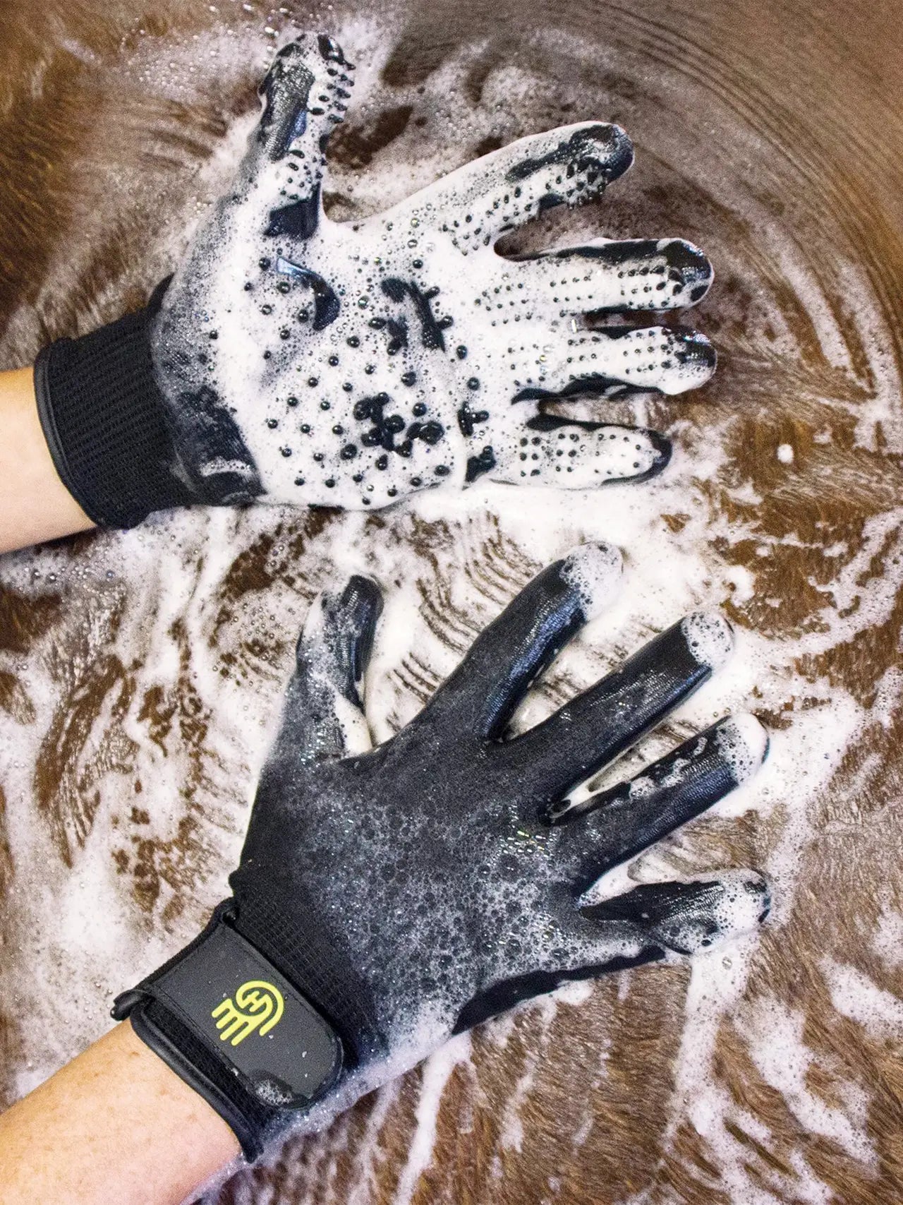 Lemieux - Gants hands on grooming