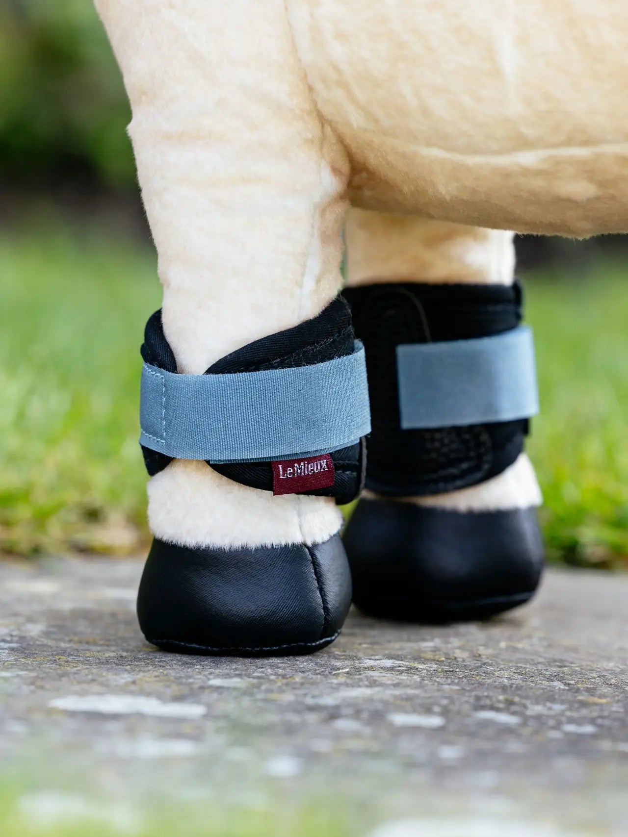 Lemieux - Toy pony guêtres - 6 coloris