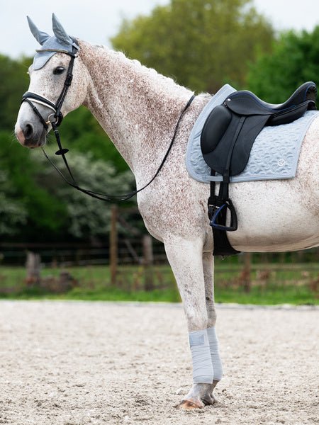 Ps of Sweden - bandes Crystal logo - blue whisper