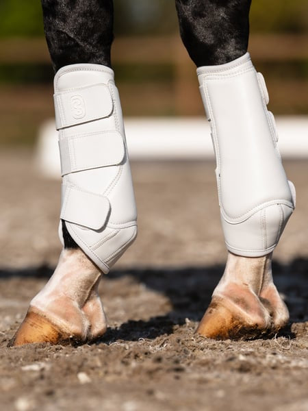 Ps of Sweden - guêtres Premium training - 2 coloris