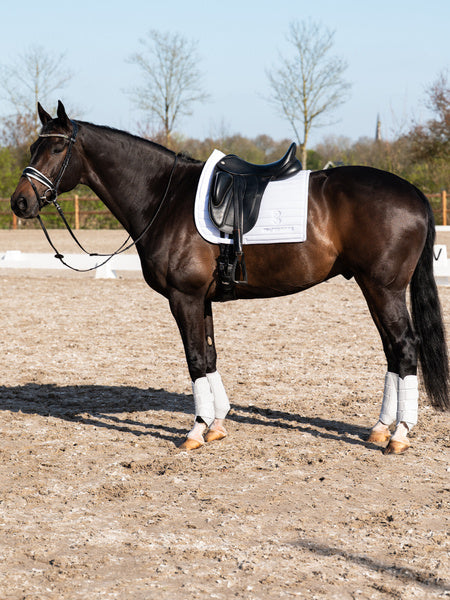 Ps of Sweden - guêtres Premium training - 2 coloris