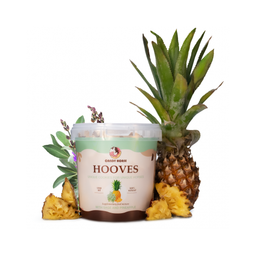 Candy horse - bonbon ananas/sauge