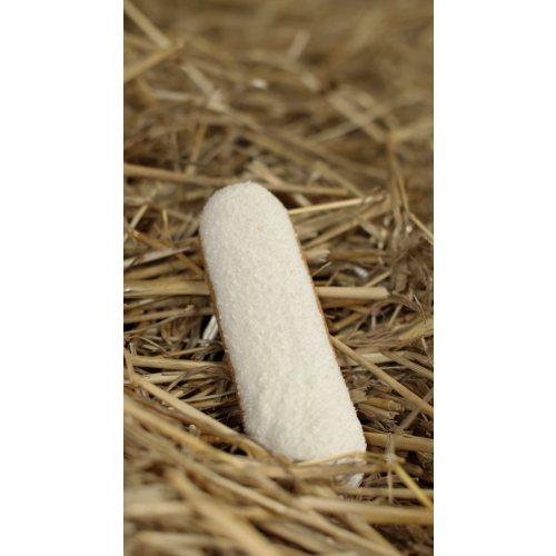 Candy horse - éclair à la noix de coco