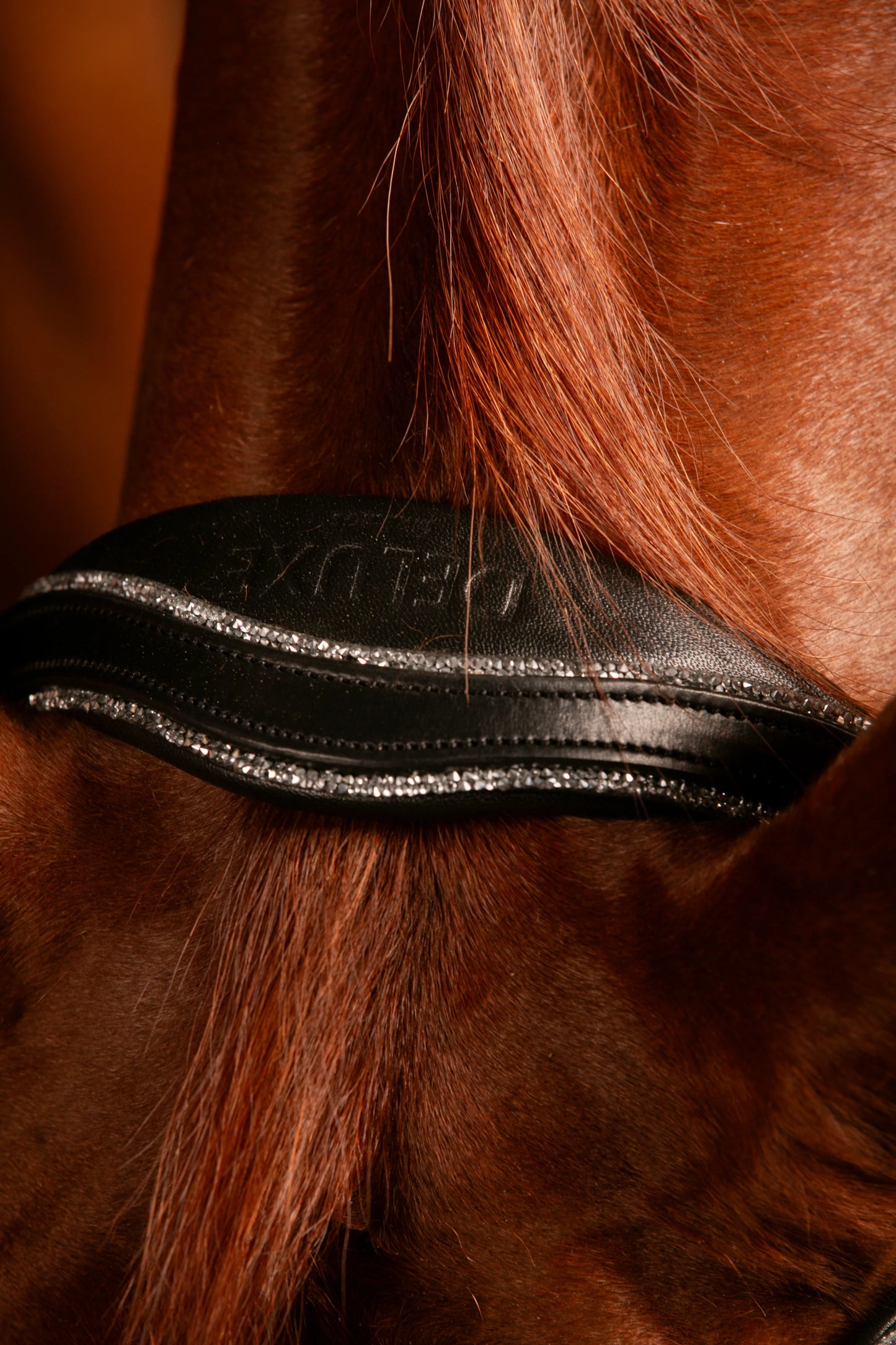 Mrs Ros - Bridon Johnny