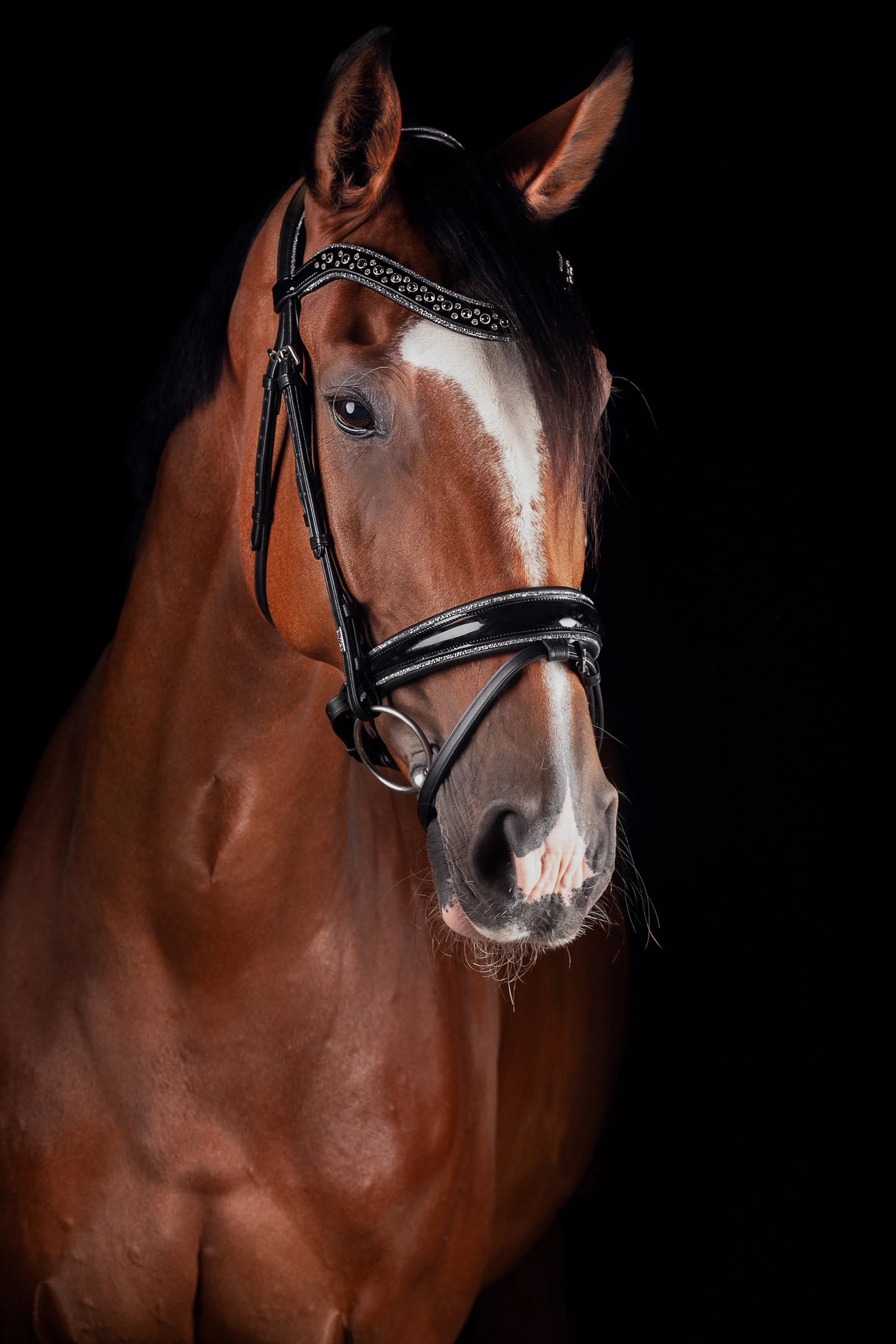 Mrs Ros - Bridon Johnny