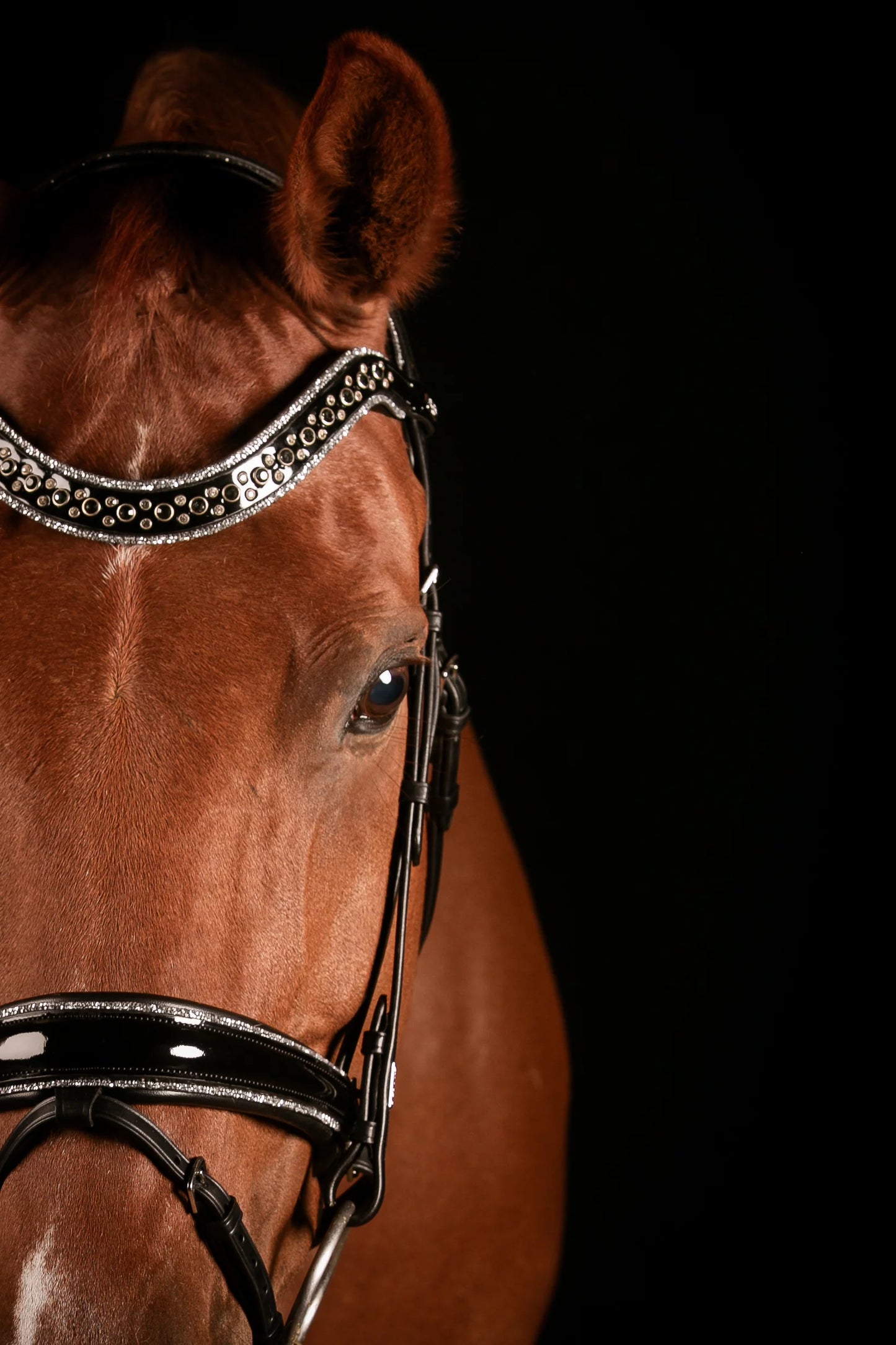 Mrs Ros - Bridon Johnny