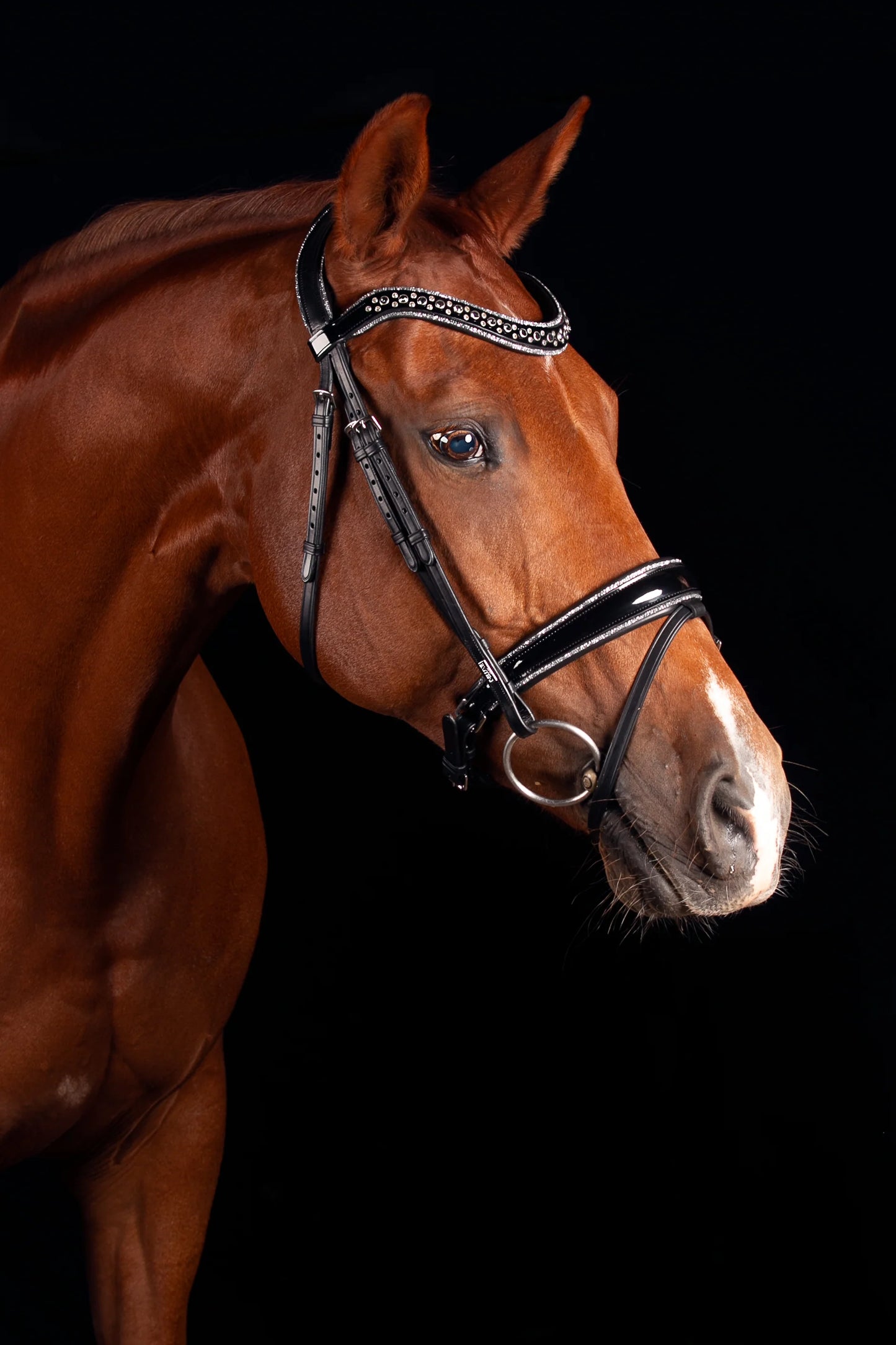 Mrs Ros - Bridon Johnny