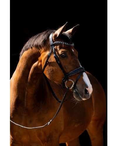 HB - bridon jump Rocky  glitter - 2 coloris