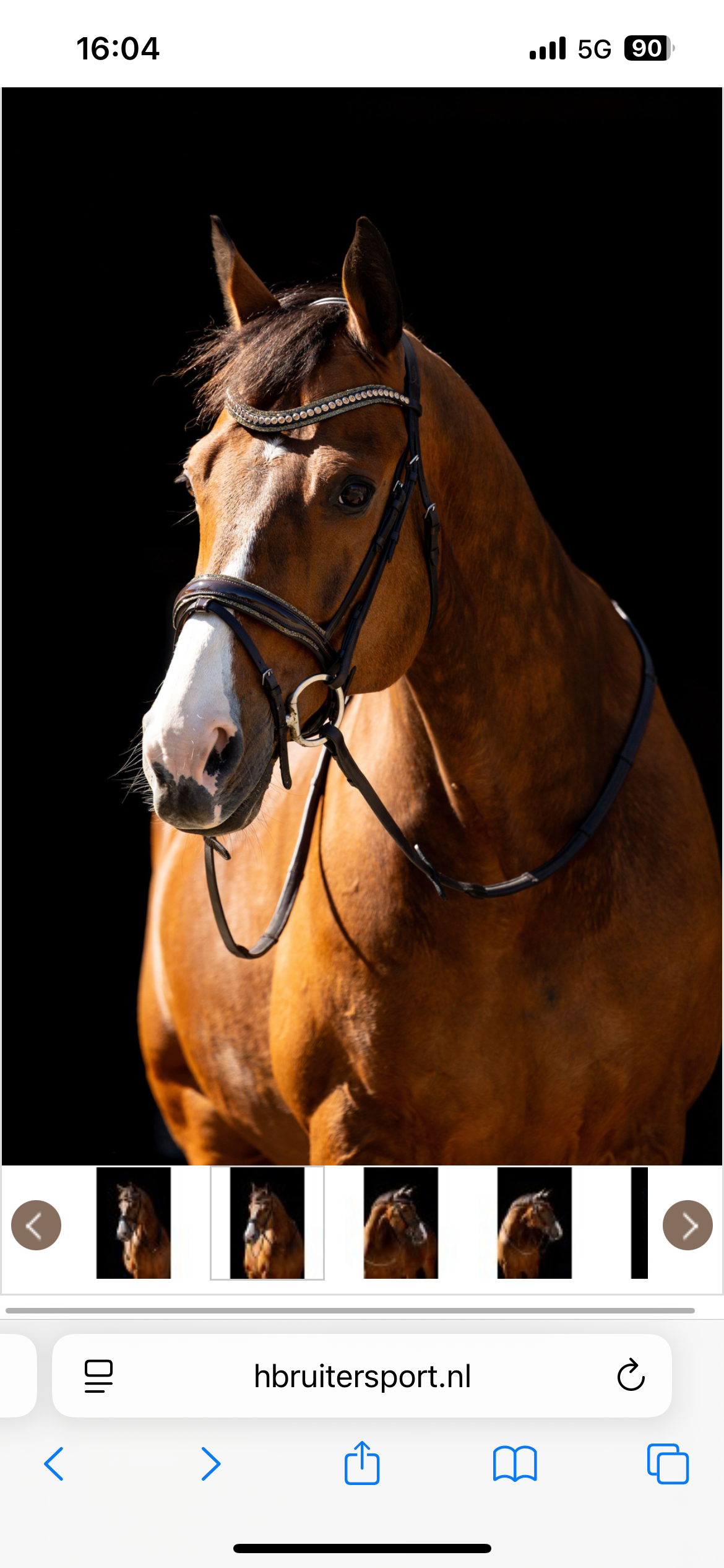 HB - bridon jump Rocky  glitter - 2 coloris