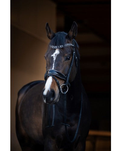 HB - bridon it so special - 4 coloris