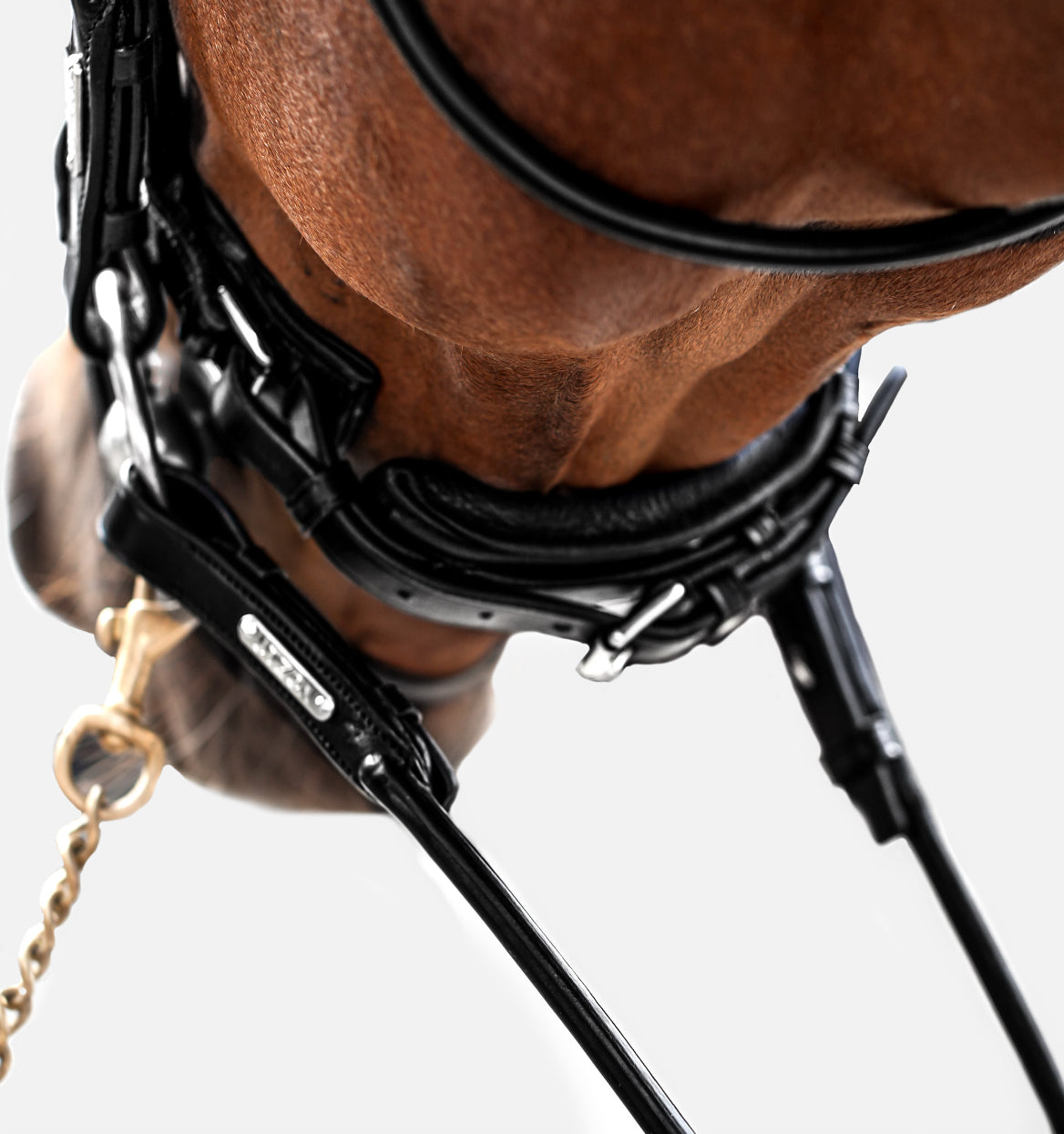 Utzon Equestrian - Bridon Edinburgh glitter