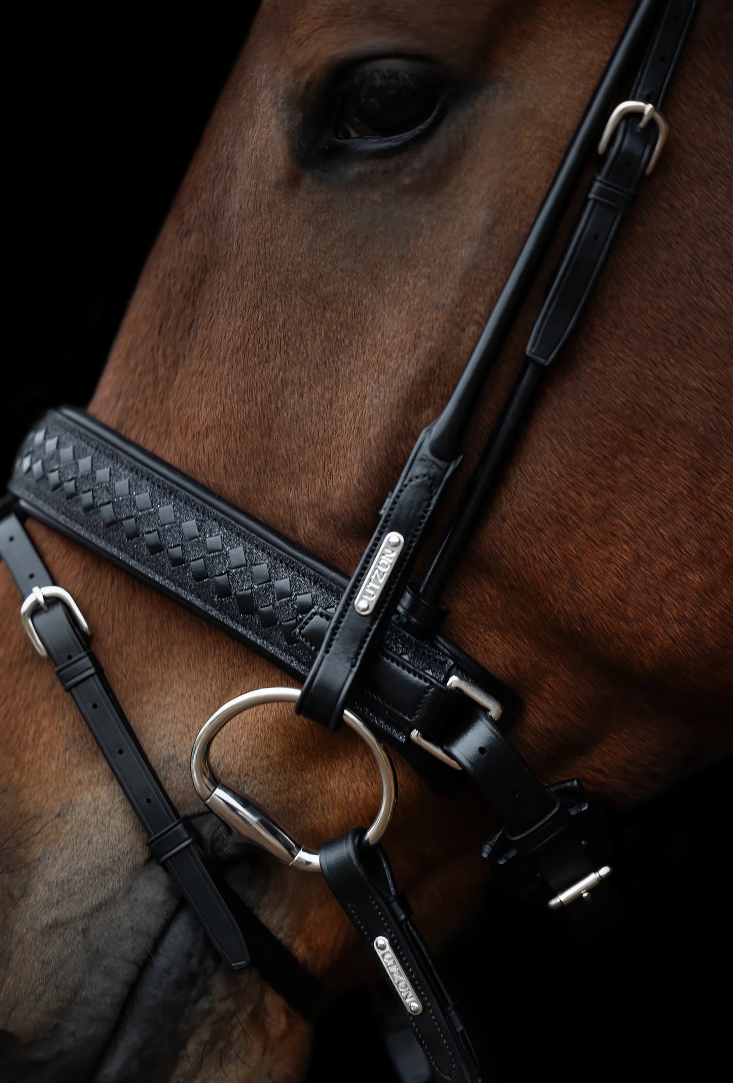 Utzon Equestrian - Bridon Olympic - glitter