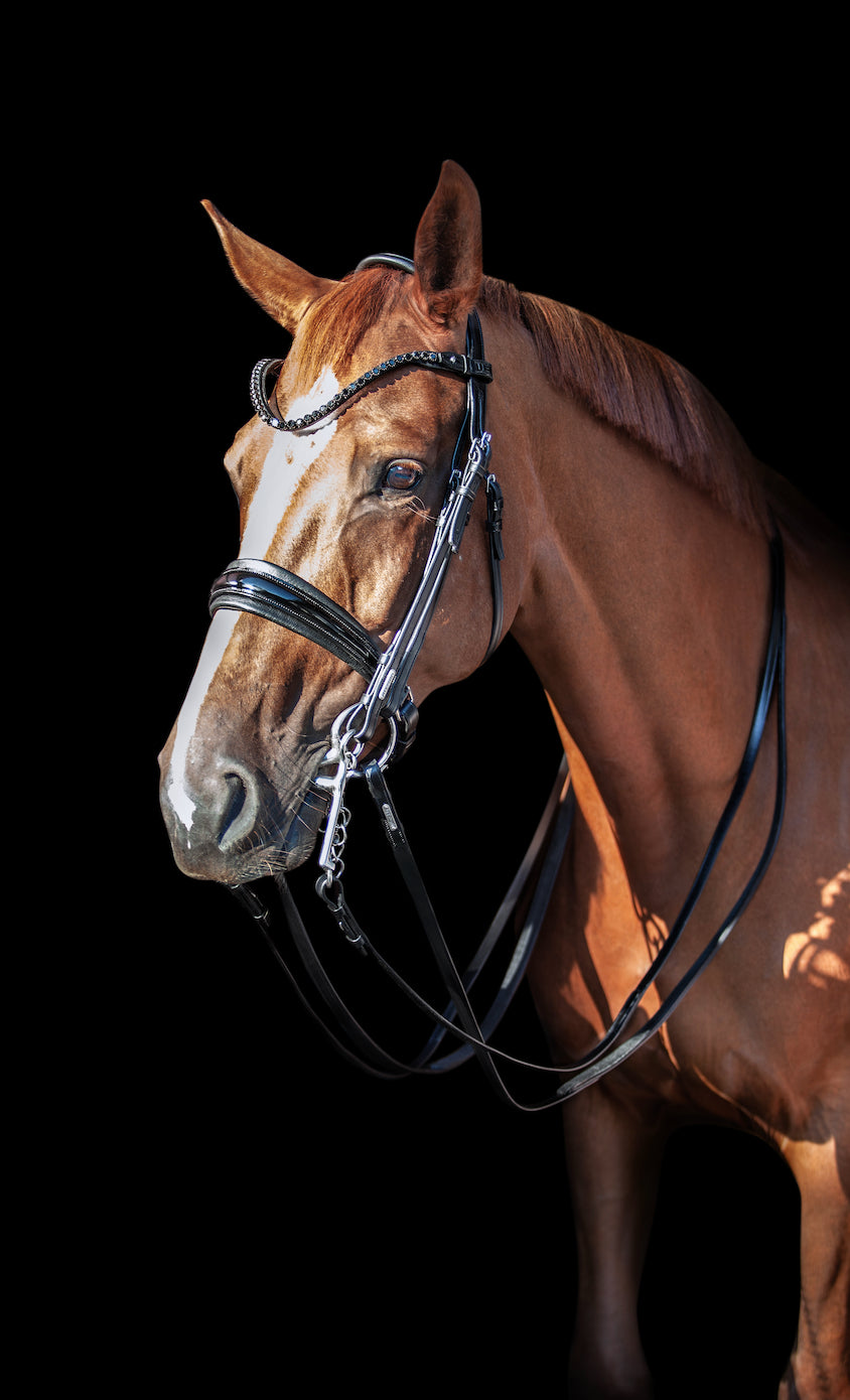 Utzon Equestrian - Bride essentiel