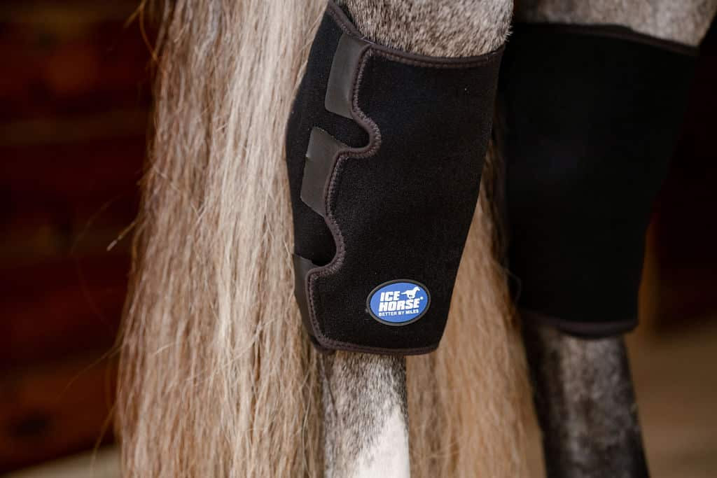 Ice Horse Hock Wrap, 6 inserts froids inclus, enveloppes de cryothérapie pour le jarret