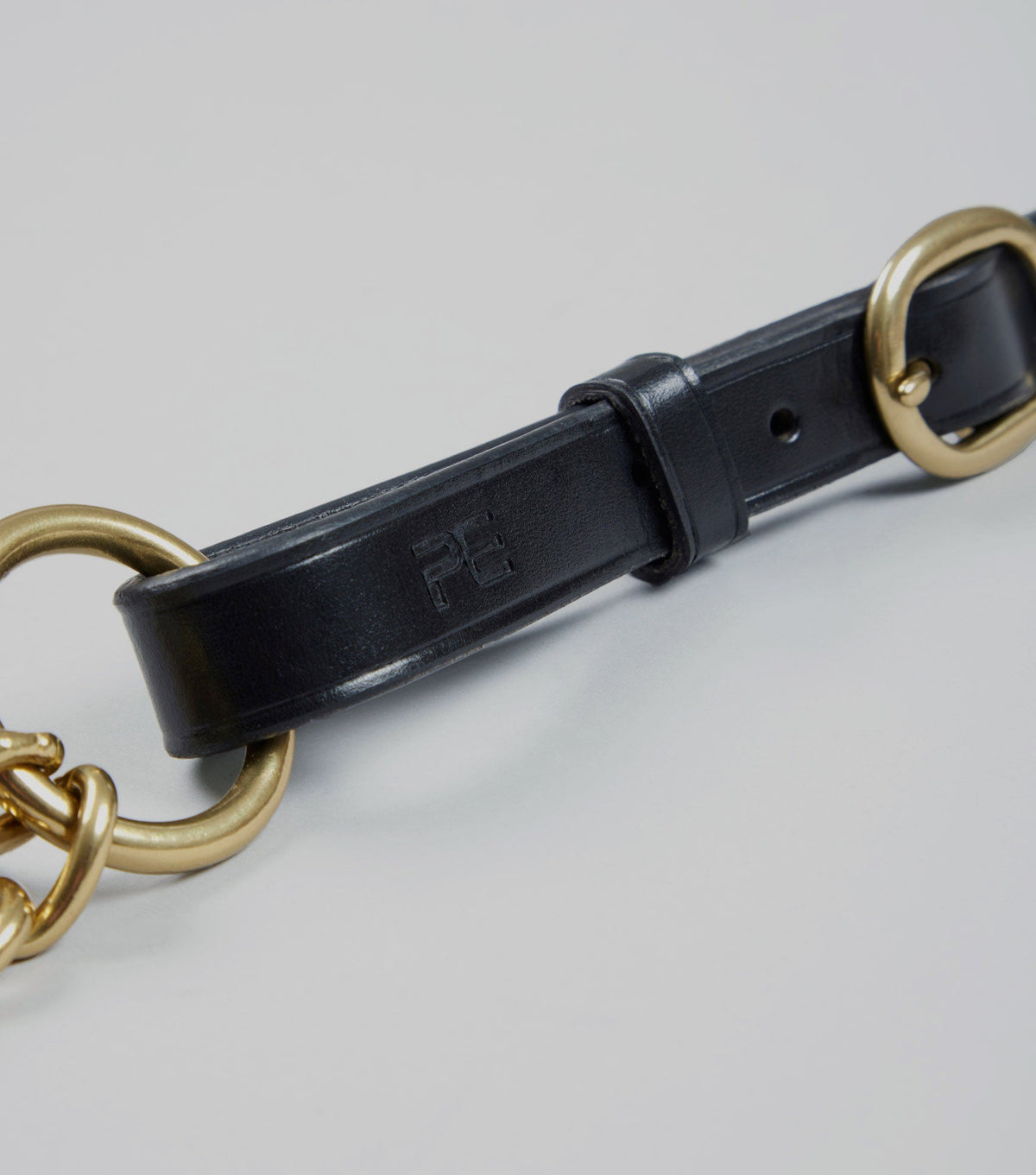 en cuir Lead rêne avec Chain Coupling