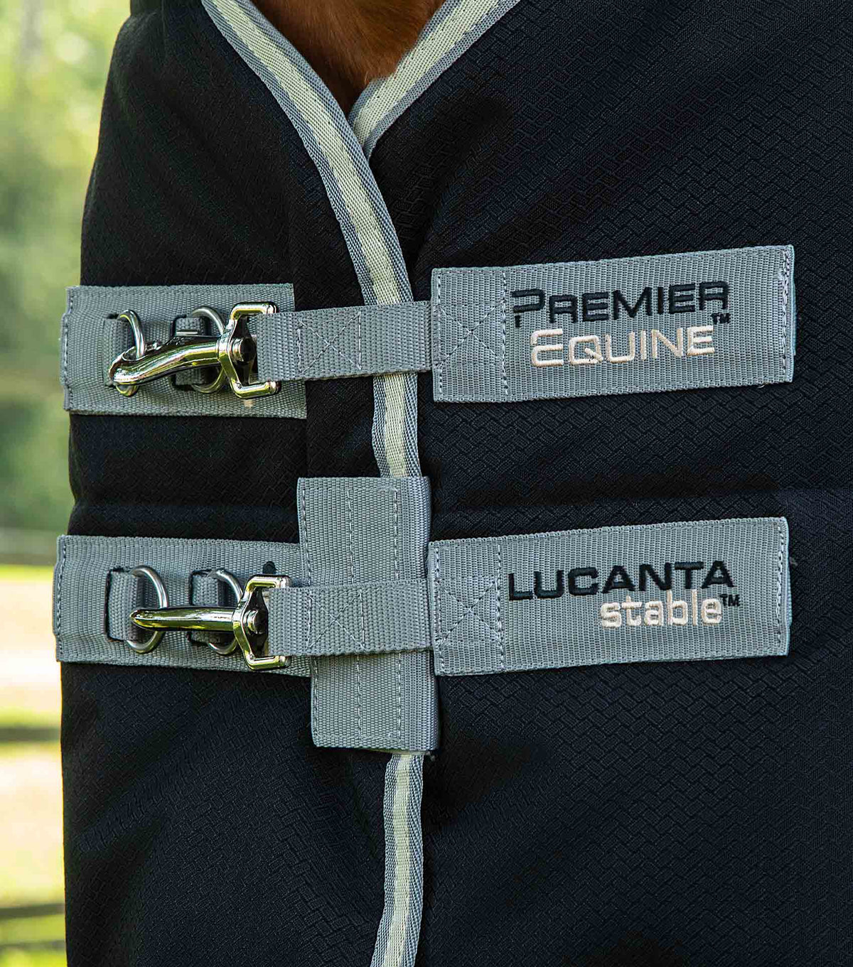 Lucanta Demi Stable 100g